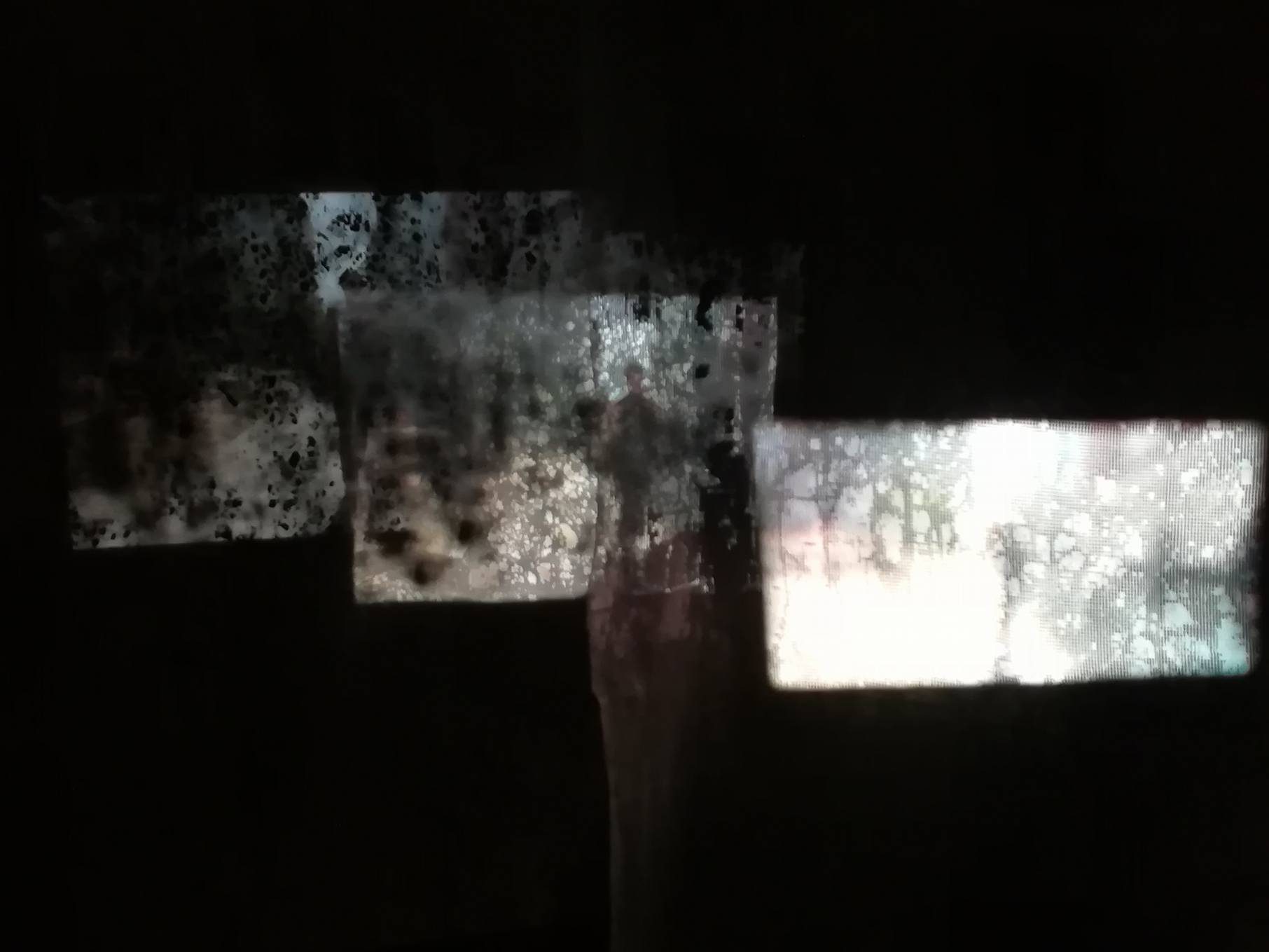 Gallery image 7